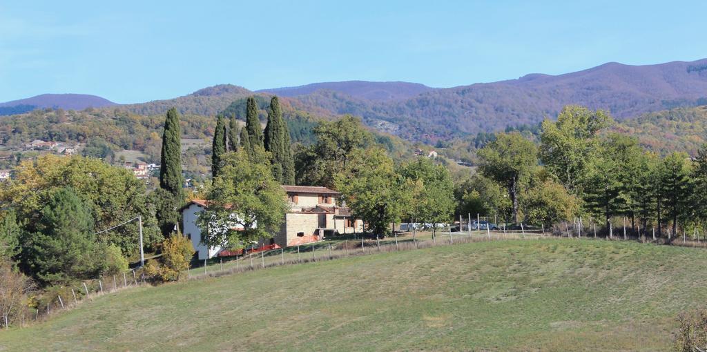 Agriturismo Mandrioli Pratovecchio Exteriér fotografie