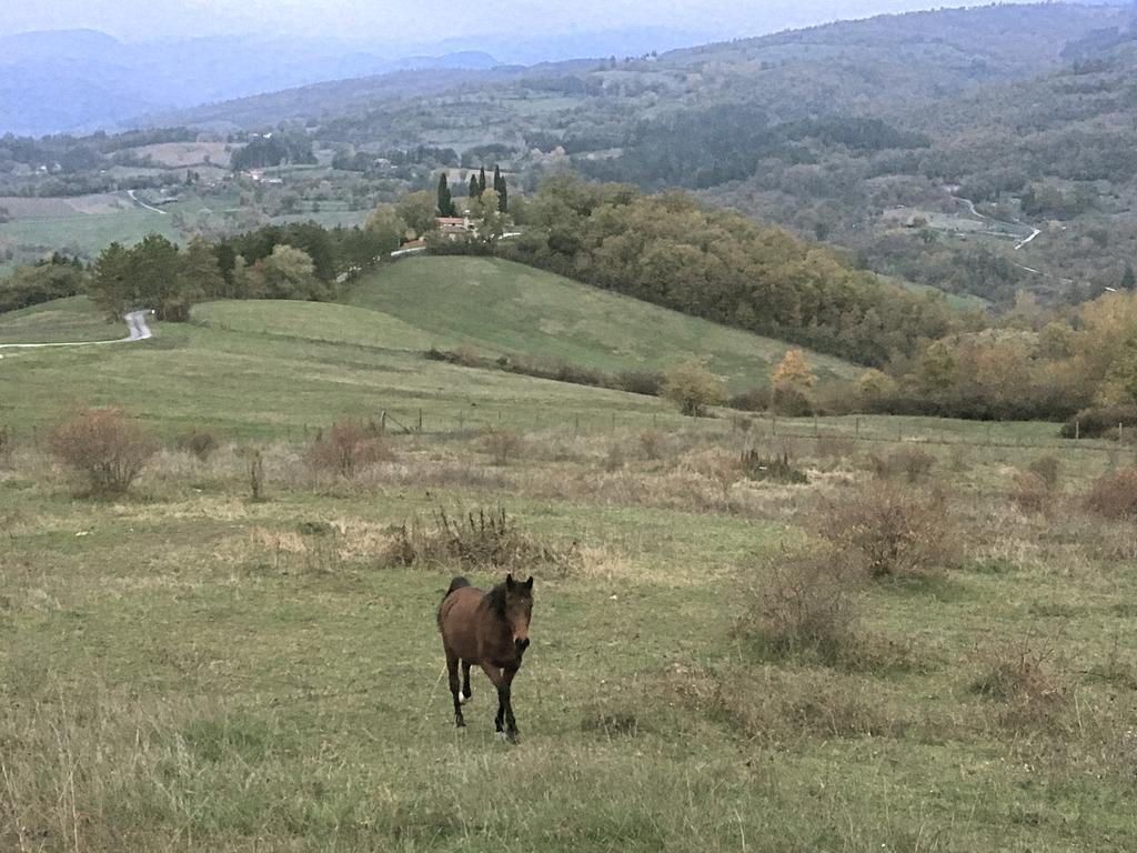 Agriturismo Mandrioli Pratovecchio Exteriér fotografie