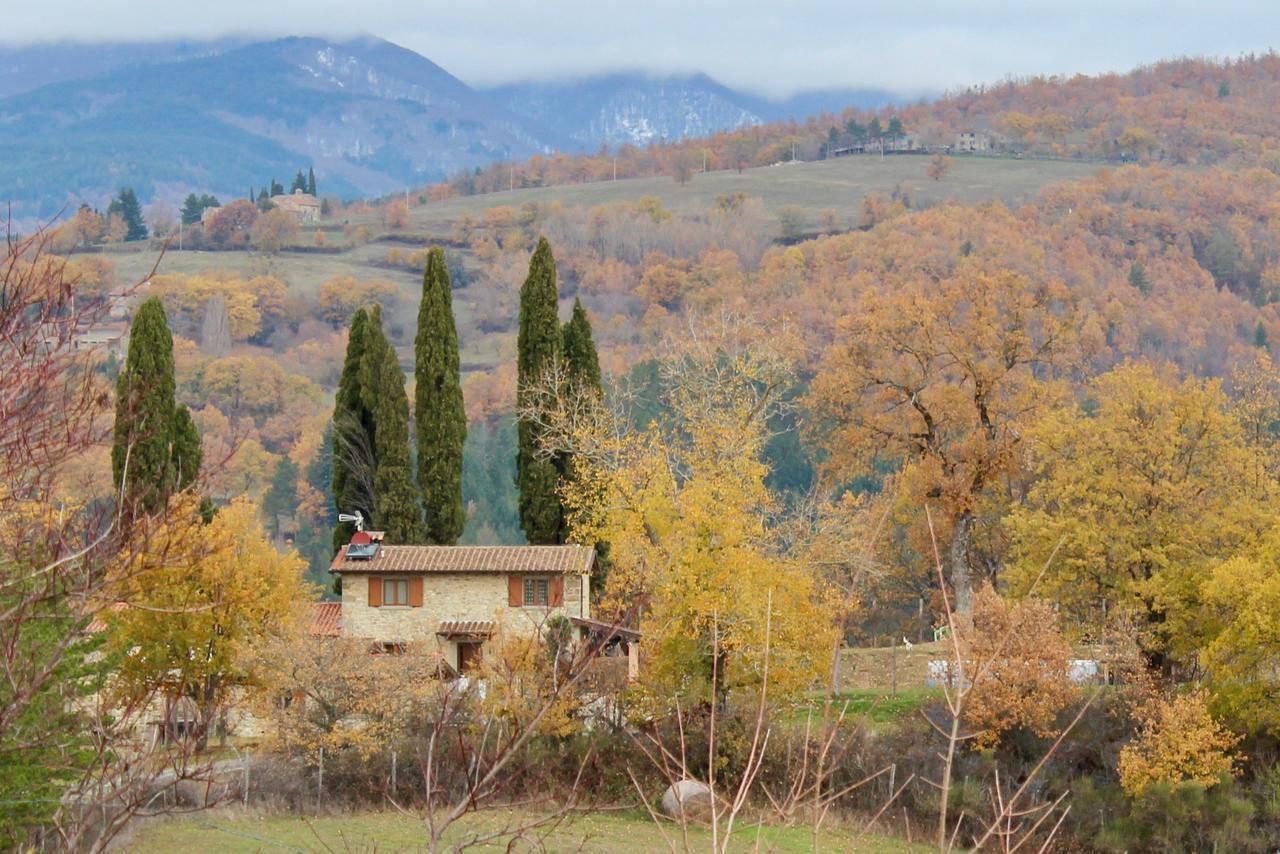 Agriturismo Mandrioli Pratovecchio Exteriér fotografie
